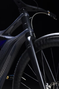 e-bike ESTREMA Pard Design fronte