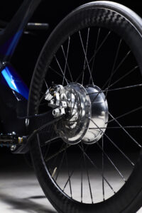 e-bike ESTREMA Pard Design posteriore