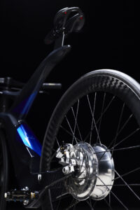 e-bike ESTREMA Pard Design raggi