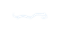 Logo Pard Design