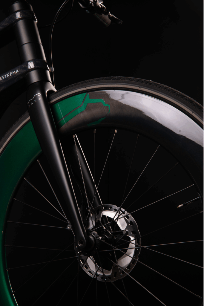 e-bike ESTREMA Pard Design green