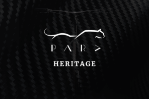 PARD DESIGN HERITAGE BICICLETTE RIGENERATE