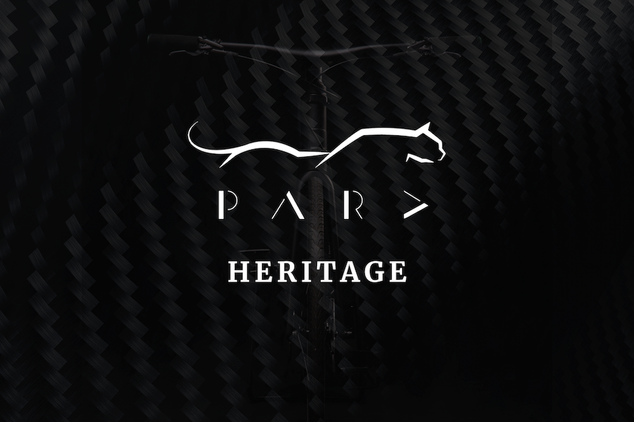 PARD DESIGN HERITAGE BICICLETTE RIGENERATE